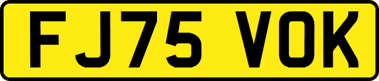 FJ75VOK