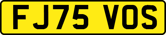 FJ75VOS