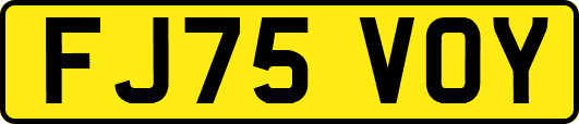 FJ75VOY
