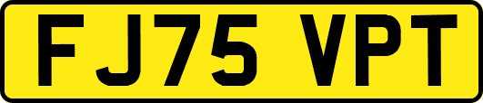 FJ75VPT