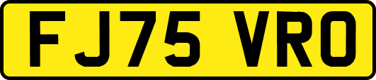 FJ75VRO