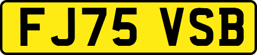 FJ75VSB
