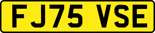 FJ75VSE