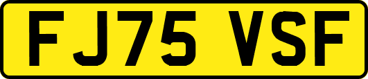 FJ75VSF