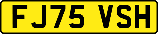 FJ75VSH
