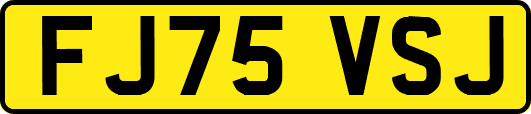 FJ75VSJ
