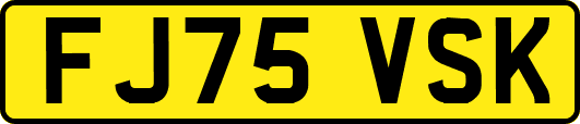 FJ75VSK