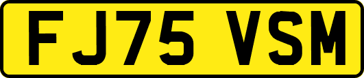 FJ75VSM