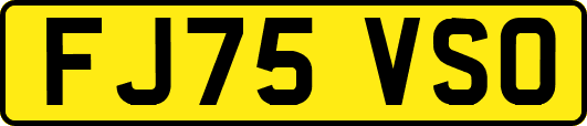 FJ75VSO