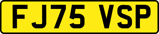 FJ75VSP