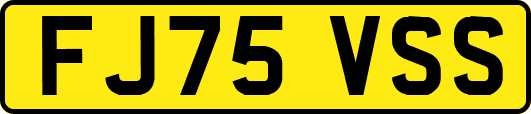 FJ75VSS
