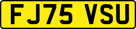 FJ75VSU