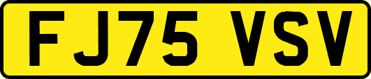 FJ75VSV