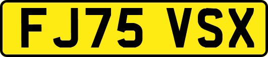 FJ75VSX