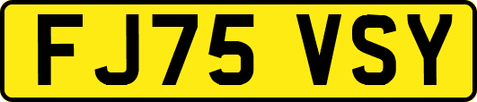 FJ75VSY