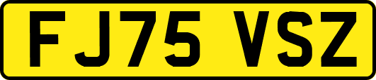 FJ75VSZ
