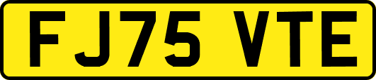 FJ75VTE