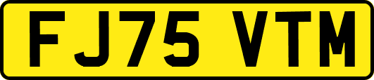 FJ75VTM
