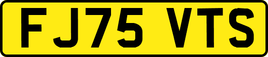 FJ75VTS