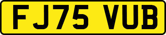 FJ75VUB