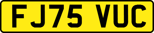 FJ75VUC