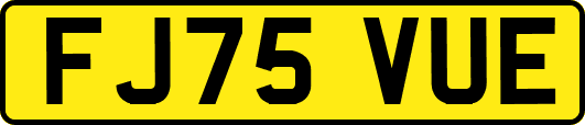 FJ75VUE