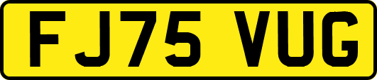 FJ75VUG