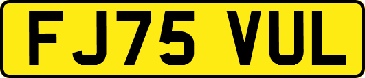 FJ75VUL