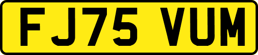 FJ75VUM