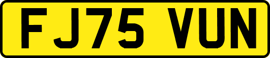 FJ75VUN