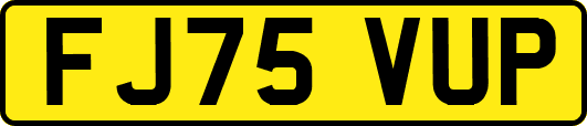 FJ75VUP