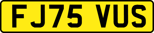 FJ75VUS
