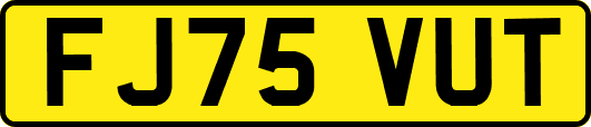 FJ75VUT