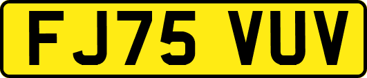 FJ75VUV