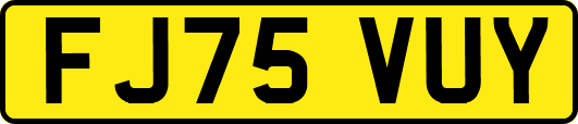FJ75VUY