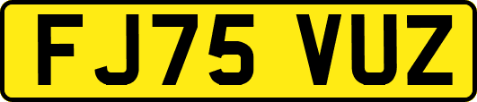 FJ75VUZ