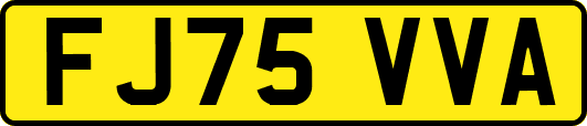 FJ75VVA