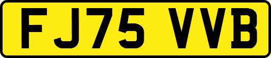 FJ75VVB