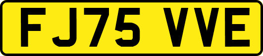 FJ75VVE
