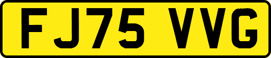 FJ75VVG