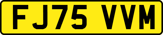 FJ75VVM