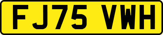 FJ75VWH