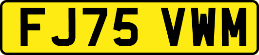 FJ75VWM
