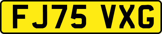 FJ75VXG