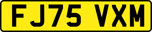 FJ75VXM