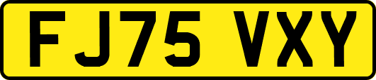 FJ75VXY