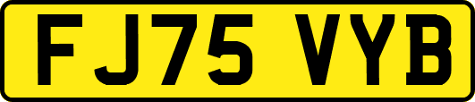 FJ75VYB