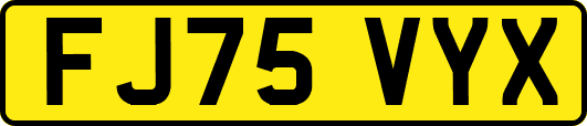 FJ75VYX