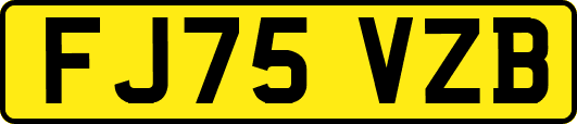 FJ75VZB