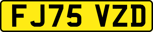 FJ75VZD